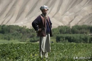 塔利班夺取阿富汗政权后，为什么普通农民形成难民向周边纷纷逃离